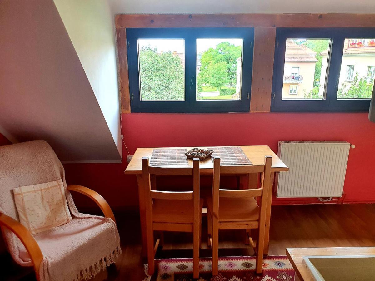 Akacjowa 7 Appartamento Stronie Śląskie Esterno foto